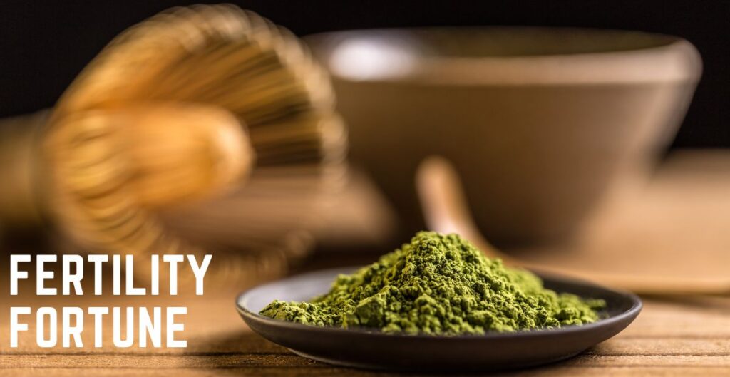 Matcha and pcos 